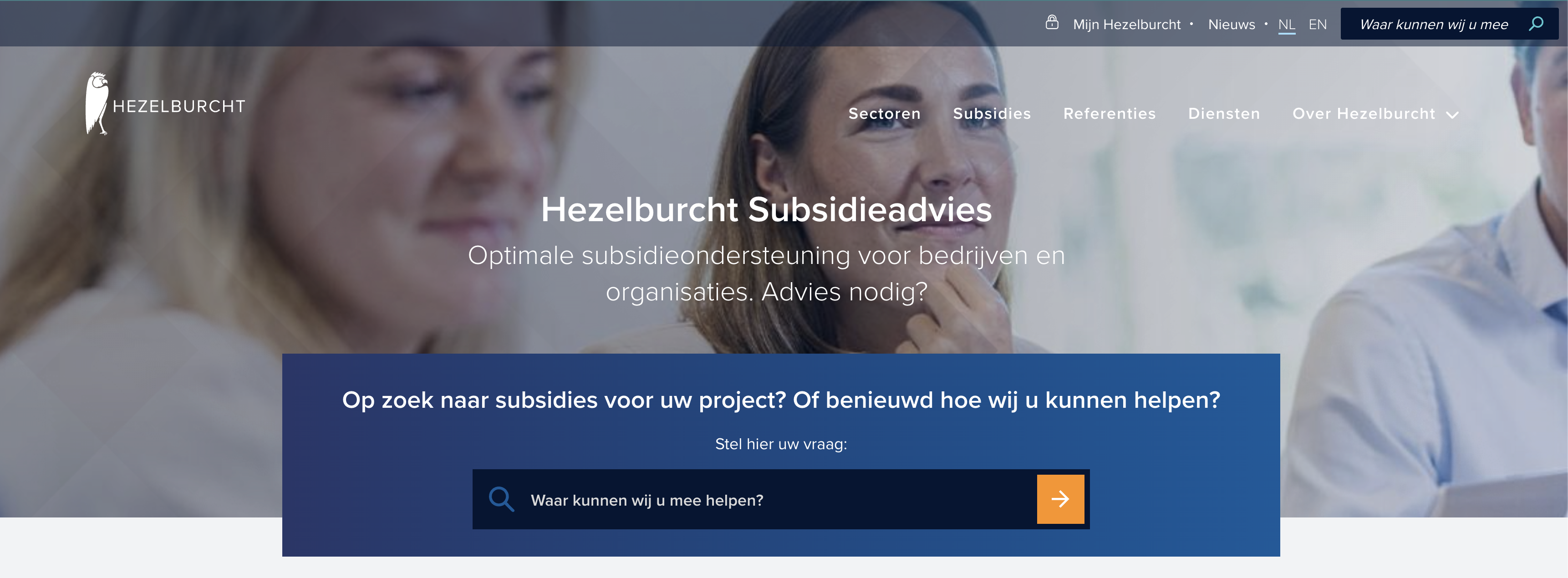 Hezelburcht subsidieadvies, startpagina met zoekbalk voor ondernemersvragen